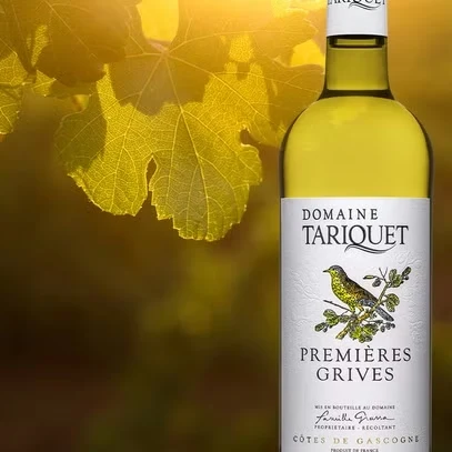 Domaine du Tariquet