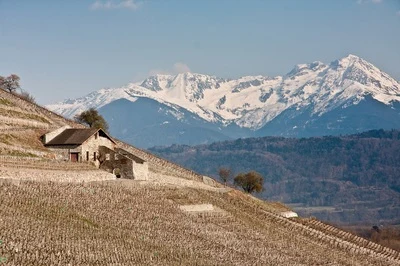 Weine aus der Region Savoyen