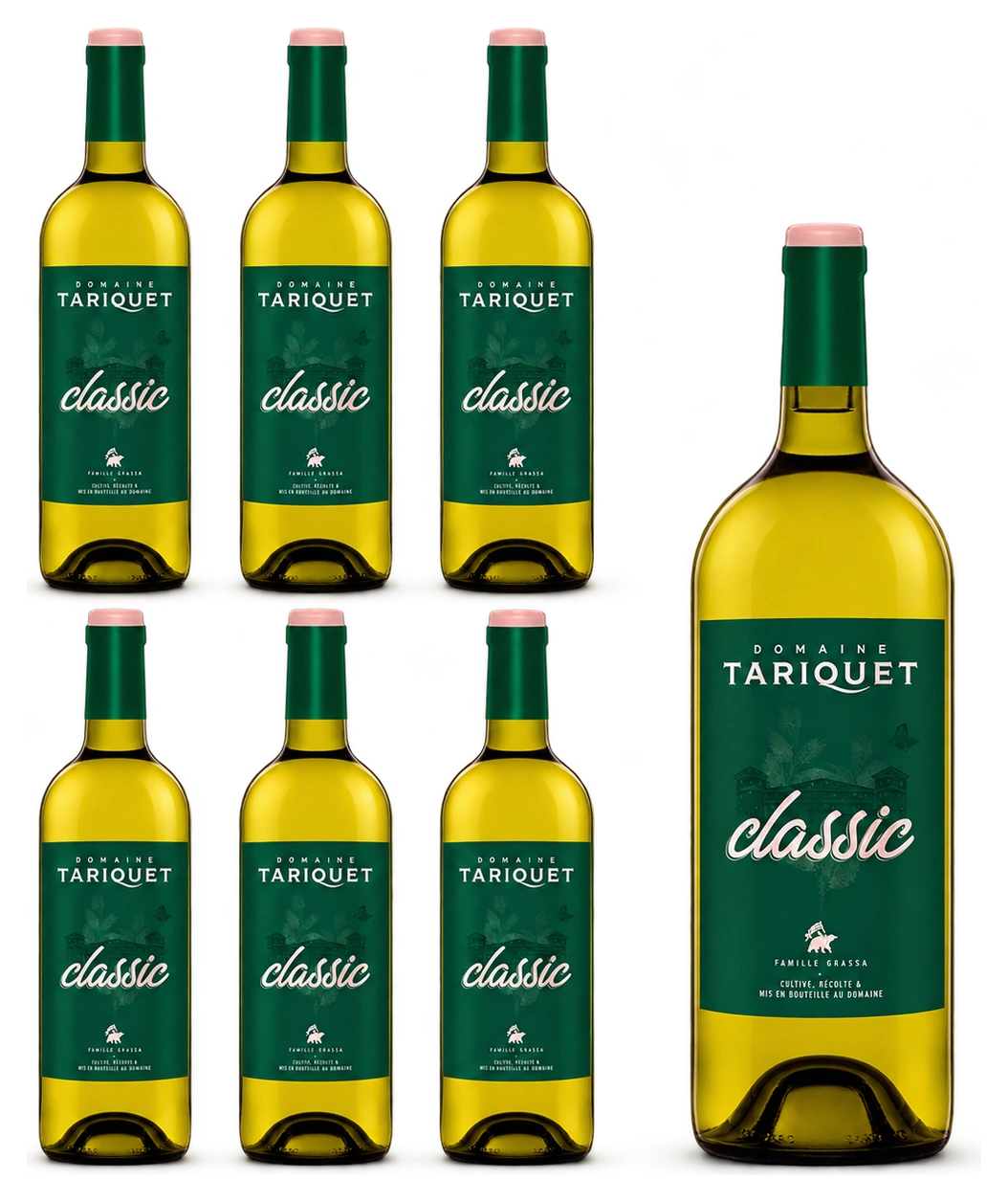 Pack 6 Bouteilles Classic 2025 + 1 Magnum Classic 2025 Domaine Tariquet - Offert
