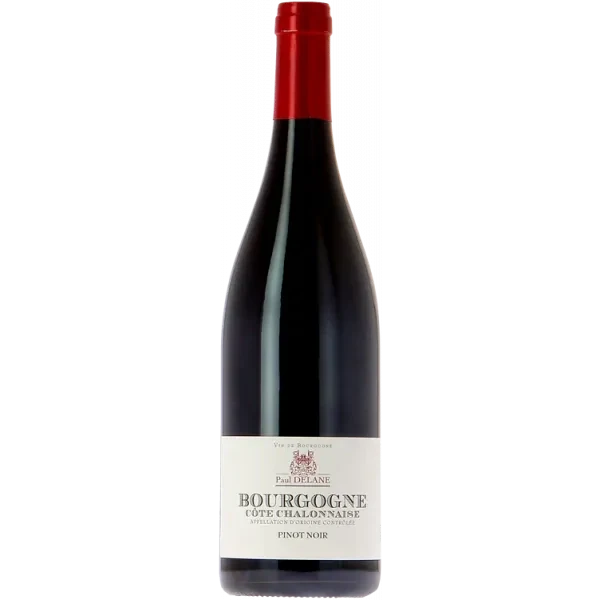 Bourgogne Côte Châlonnaise Pinot Noir 2023 - Paul Delane - Vignerons de Buxy