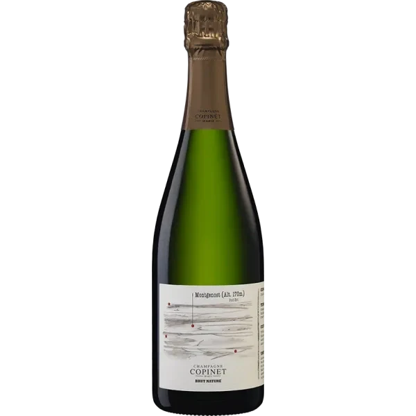 Champagne Marie Copinet - Blanc de Blancs Brut Nature