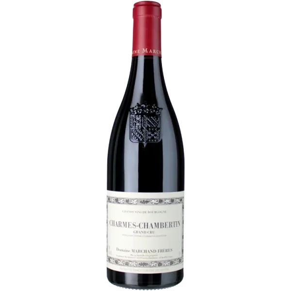 Charmes Chambertin Grand Cru 2023 - Domaine Marchand Frères