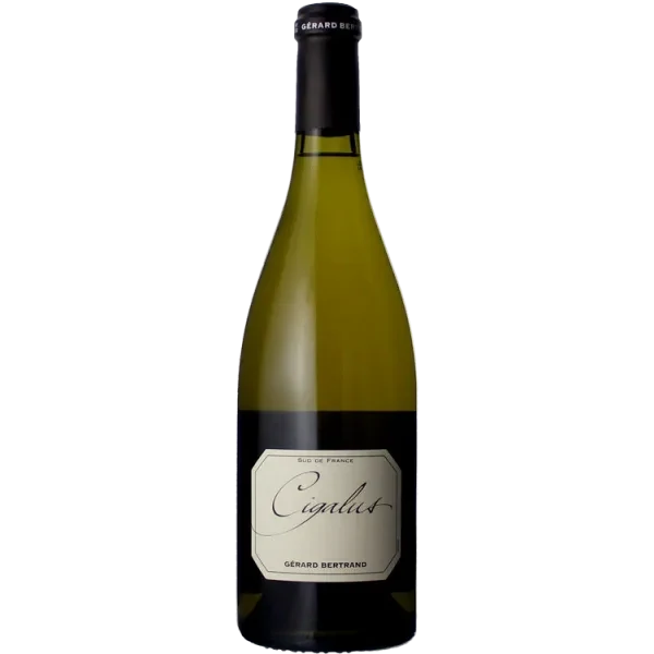 Cigalus Blanc 2025 - Gérard Bertrand
