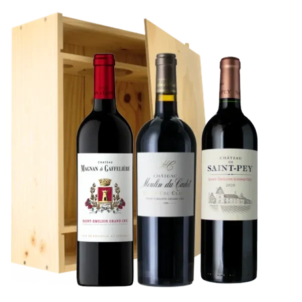 ESTUCHE 2 Botellas - Saint-Émilion Grand Cru
