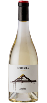Etna Bianco - Scalunera 2024 - Torre Mora