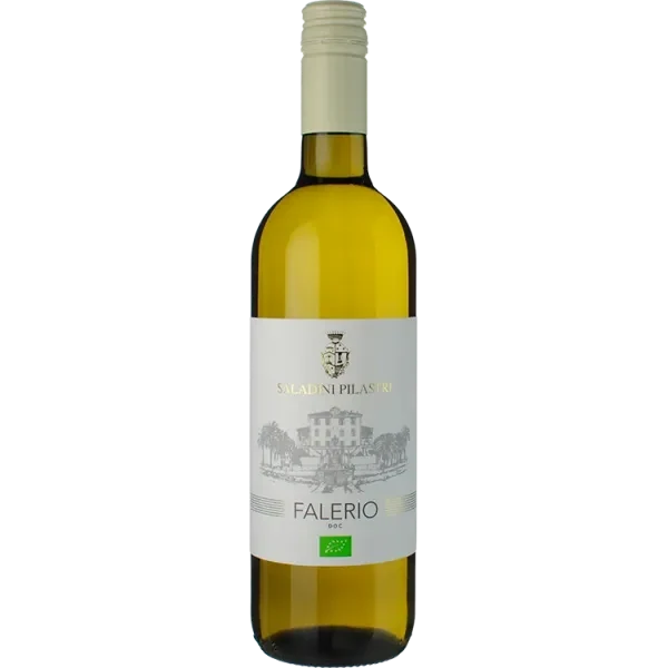 Falerio 2025 - Saladini Pilastri