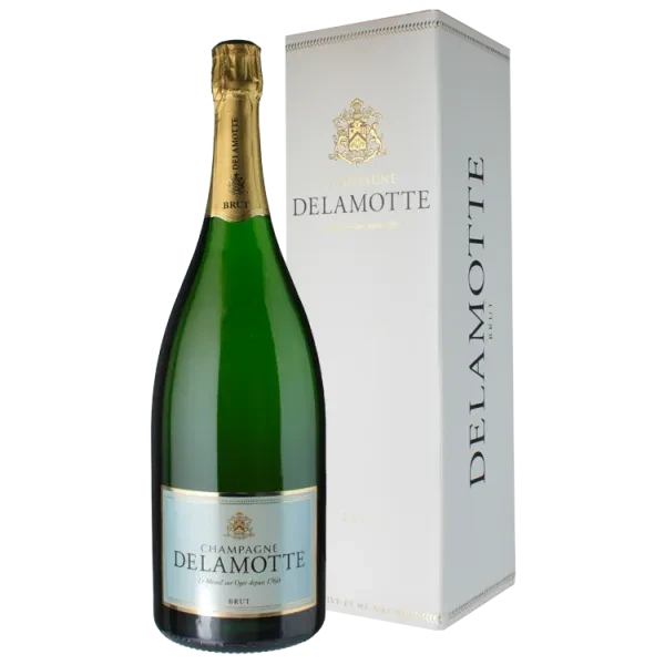 Magnum - Champagner Delamotte - Mit Etui