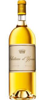 Magnum - Château d'Yquem 2023 - 1er Cru Classé Supérieur