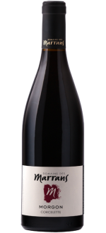 Morgon Corcelette 2024 - Domaine des Marrans