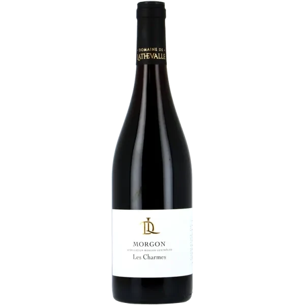 Morgon Les Charmes 2019 - Domaine de Lathevalle