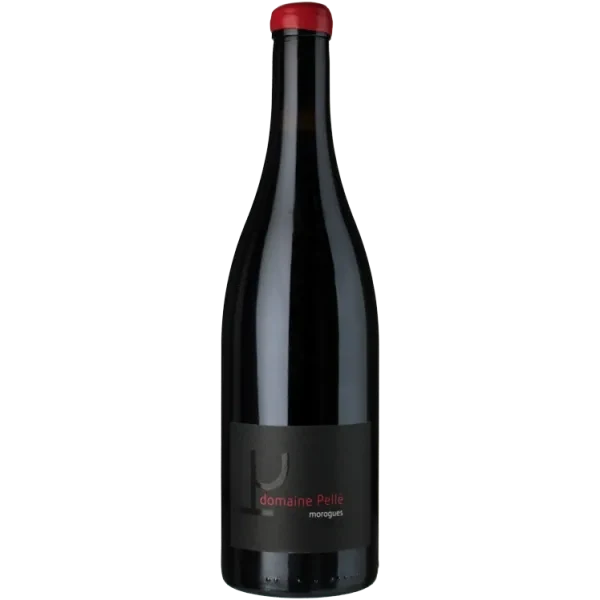 Morogues 2023 - Domaine Henry Pellé