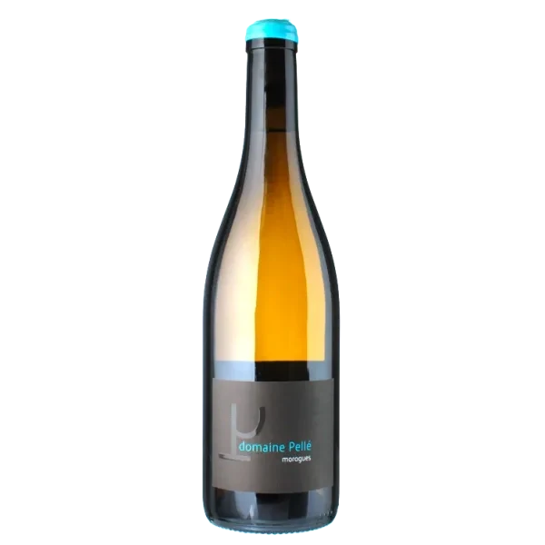 Morogues 2024 - Domaine Henry Pellé