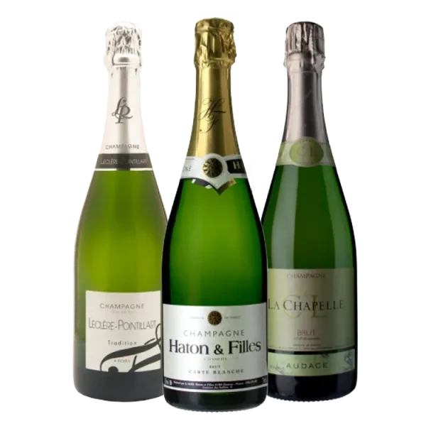 Pack 3 Botellas - Champagnes de Pequeños Productores