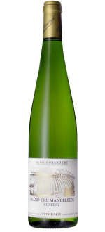 Riesling Grand Cru Mandelberg 2022 - Domaine Trimbach