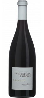 Vendanges Entières 2023 - Vincent Pinard