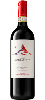 Vigna Montaperto Gran Selezione 2020 - Fattoria Carpineta Fontalpino