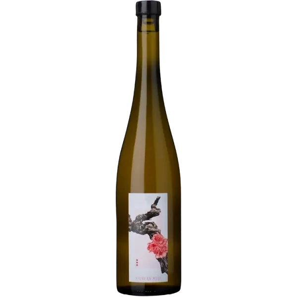 Vigne en Rose 2023 - Vignoble du Rêveur