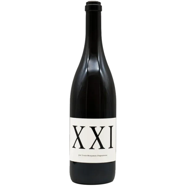 XXI BLANC 2021 - Didier Dagueneau